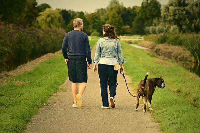 procházka páru se psem